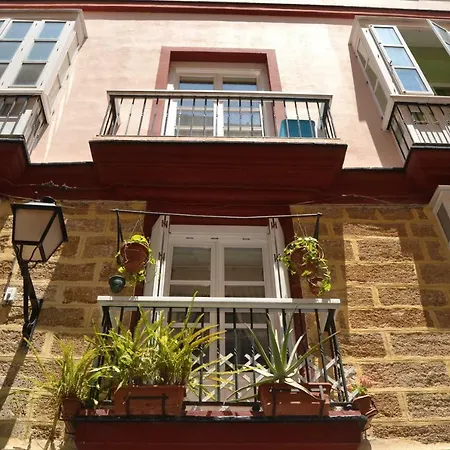 Apartman Beautiful *